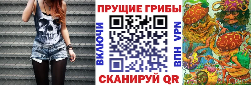 Купить где  Знаменск  Псилоцибиновые грибы прущие грибы 
